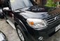 2015 Ford Everest Limited AT for sale-1