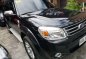 2015 Ford Everest Limited AT for sale-7