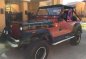 1989 Jeep Wrangler Willys 4x2 FOR SALE-0