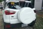 Ford EcoSport 2015 for sale-3