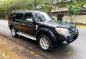 2013 Ford Everest AT FOR SALE-0