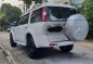 2010 Ford Everest Limited 4x2 for sale-3