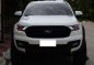 2016 Ford Everest 4x4 FOR SALE-2