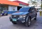 2013 Ford Everest MT for sale -4