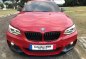 2017 BMW 220i Msports 100yrs Ltd Edition-3