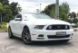 Ford Mustang Gt50 2014 for sale -0