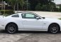 Ford Mustang Gt50 2014 for sale -3