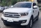 2018 Ford Everest Ambiente 4x2 Automatic Tranny-0