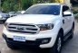 2018 Ford Everest for sale-4