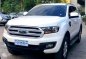 2018 Ford Everest Ambiente 4x2 dsl AT for sale-0