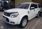 2014 Ford Everest MT for sale -1