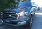 2016 Ford Everest Titanium for sale-2