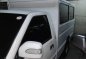 Like New Foton Blizzard LCV for sale-1