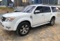 2013 Ford Everest Automatic for sale-0