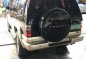 SUV Isuzu Trooper 2004 for sale-2