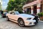 2014 Ford Mustang for sale-0