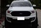 2018 Ford Everest for sale-1