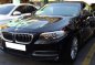 2016 BMW 520D for sale-12