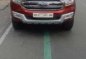 2017 Ford Everest for sale-0