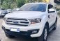 2018 Ford Everest for sale-3