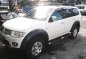 2009 Mitsubishi Montero Sports for sale-0