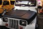 Jeep Wrangler 1998 for sale-0