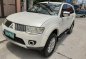 2009 Mitsubishi Montero for sale-0