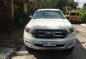 2016 Ford Everest for sale-1