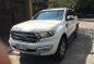 2016 Ford Everest for sale-0