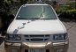 Selling Isuzu Crosswind 2002 Manual Diesel in Bacolor-0