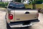 2nd Hand (Used) Ford F-150 2001 for sale in Muntinlupa-3