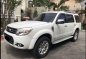 Selling Ford Everest 2014 Automatic Diesel in Cebu City-0