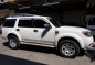 Ford Everest 2014 Manual Diesel for sale in Taguig-2