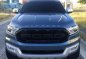 2017 Ford Everest for sale in Imus-2