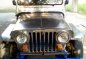 2nd Hand Toyota Owner-Type-Jeep Manual Gasoline for sale in Bocaue-0