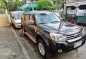 2014 Ford Everest for sale in Cainta-5