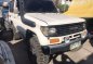 2nd Hand Toyota Land Cruiser for sale in Tacloban-0