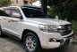 2nd Hand Toyota Land Cruiser 2019 at 5000 km for sale in Antipolo-1