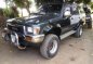 Selling 2002 Toyota Hilux for sale in Calamba-0