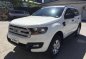 Selling 2nd Hand Ford Everest 2016 at 19000 km for sale in Pasig-2