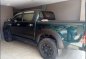2nd Hand Toyota Hilux 2009 Manual Diesel for sale in Concepcion-0