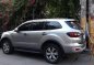 Sell Used 2017 Ford Everest at 30000 km in Muntinlupa-3