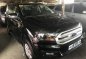 Selling Ford Everest 2017 Automatic Diesel in Lapu-Lapu-0