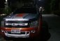 Sell 2nd Hand 2013 Ford Ranger at 80000 km in Liloan-2