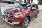 Sell 2nd Hand 2016 Ford Everest in Concepcion-0