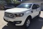 Selling 2nd Hand Ford Everest 2016 Automatic Diesel at 19000 km in Pasig-0