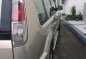 Selling Nissan X-Trail 2009 Automatic Gasoline in Makati-6