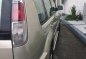 Selling Nissan X-Trail 2009 Automatic Gasoline in Makati-6