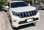 2013 Toyota Land Cruiser for sale in Marikina-0