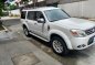 Used Ford Everest 2014 for sale in Taguig-11